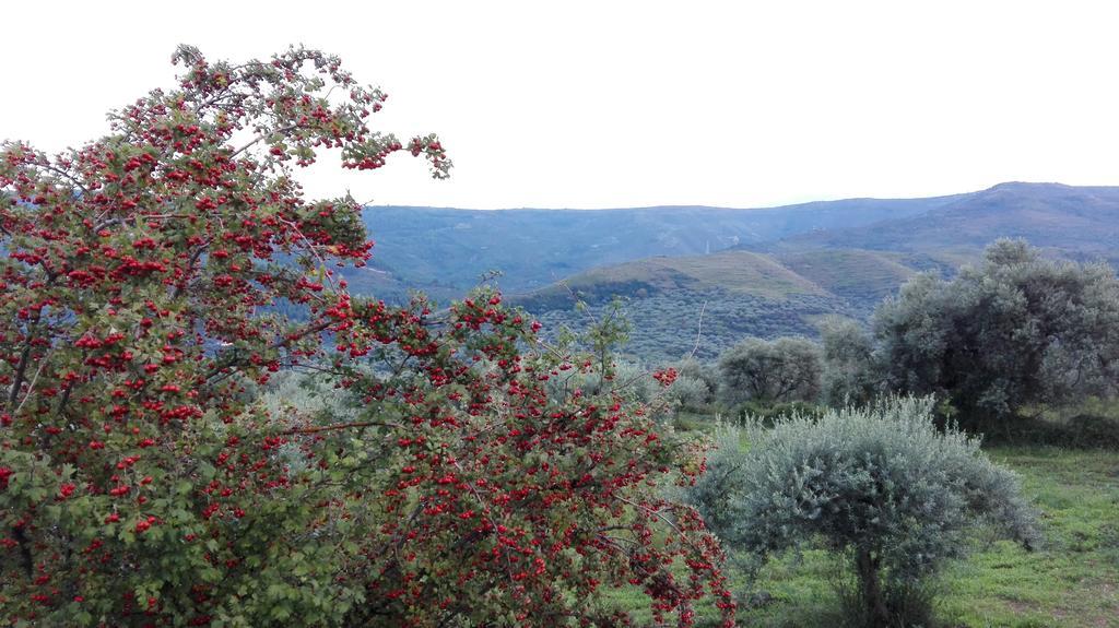 Le Case Di S. Andrea Buccheri Exteriör bild